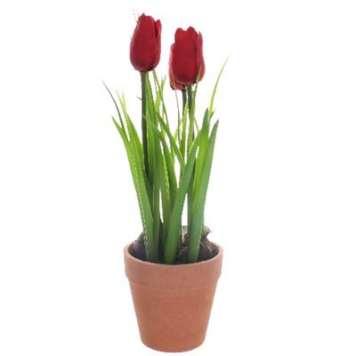 Terracotta Potted Realistic Artificial Tulip